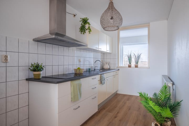 Foto 23 van Schapenweide 50