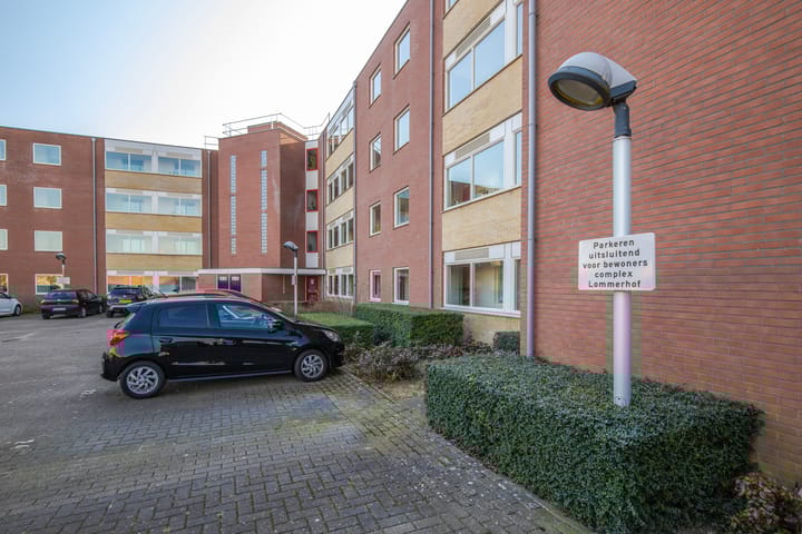 Foto 35 van Schapenweide 50