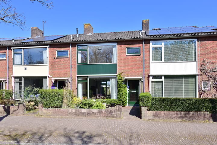 undefined main image