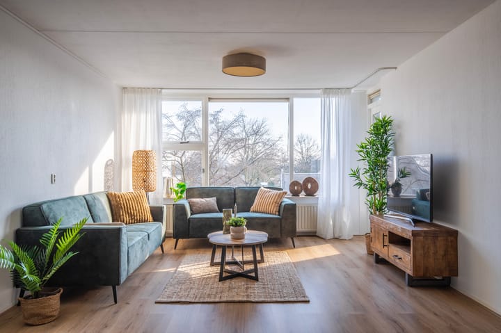 Foto 15 van Schapenweide 50