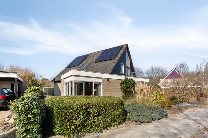 Foto 5 van Buitenbree 24