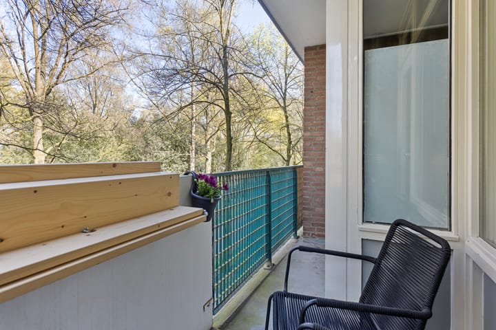 Foto 23 van Professor Cobbenhagenlaan 464