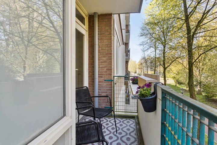 Foto 24 van Professor Cobbenhagenlaan 464