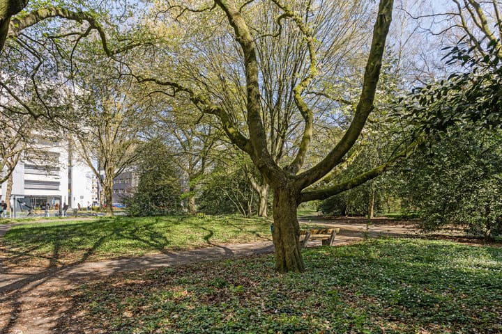 Foto 33 van Professor Cobbenhagenlaan 464