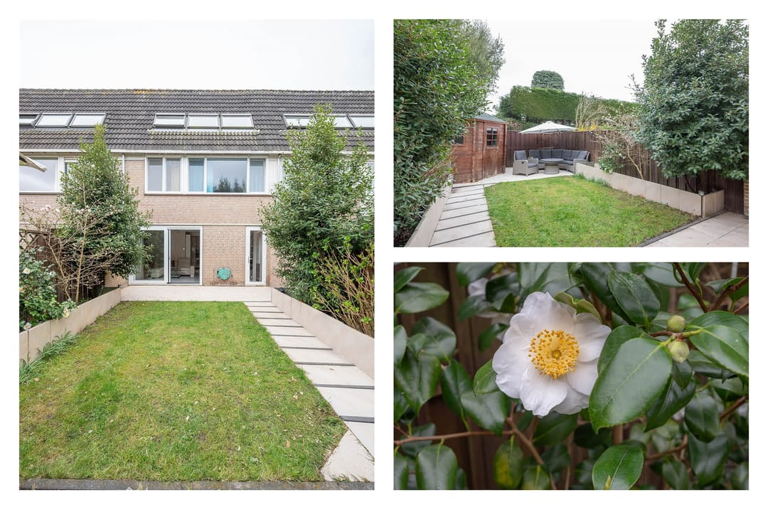 Foto 2 van Polanen 45