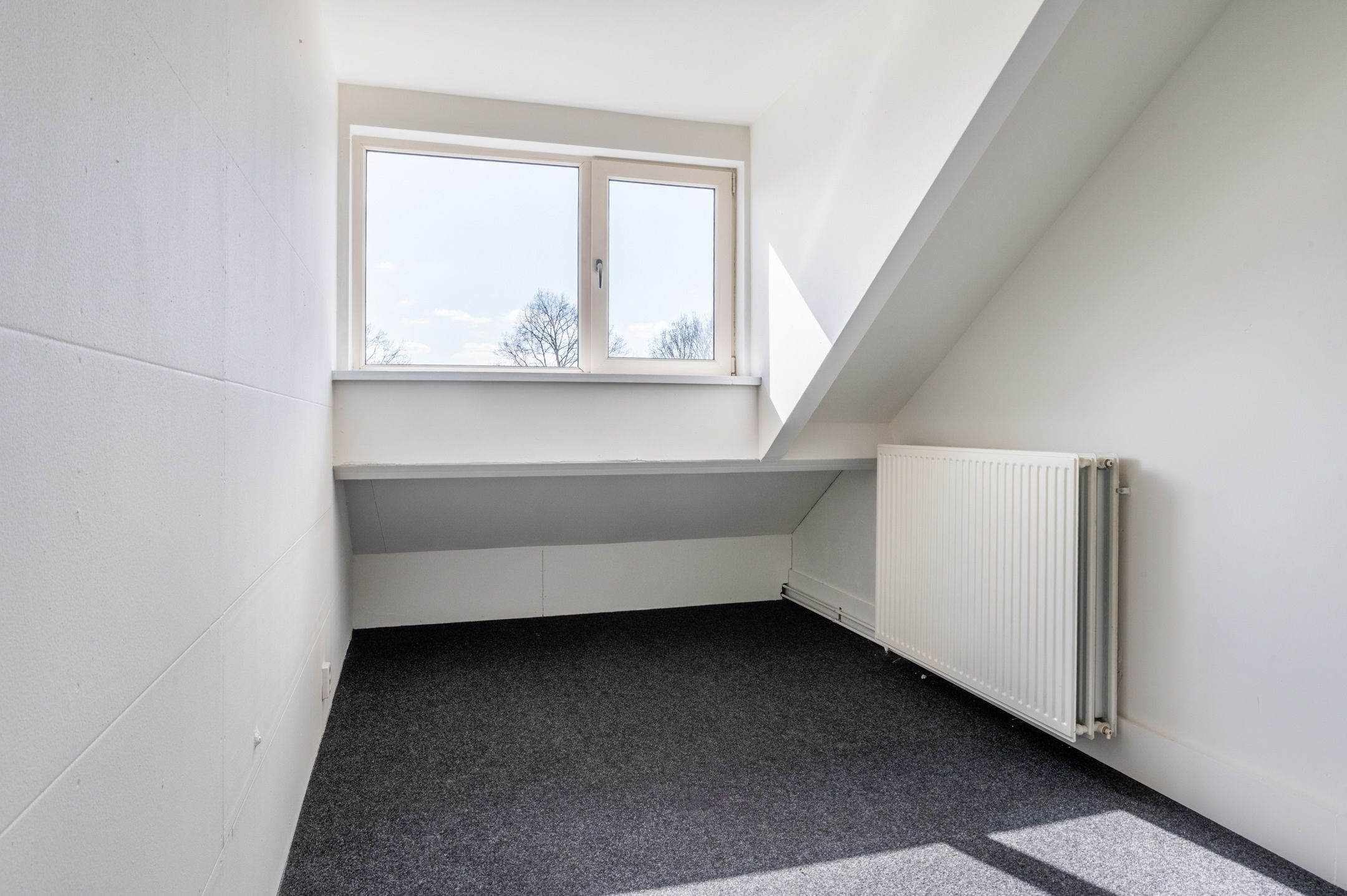 Foto 30 van Iepengaard 10