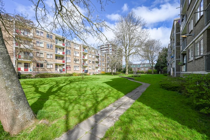 Foto 26 van De Dreef 37