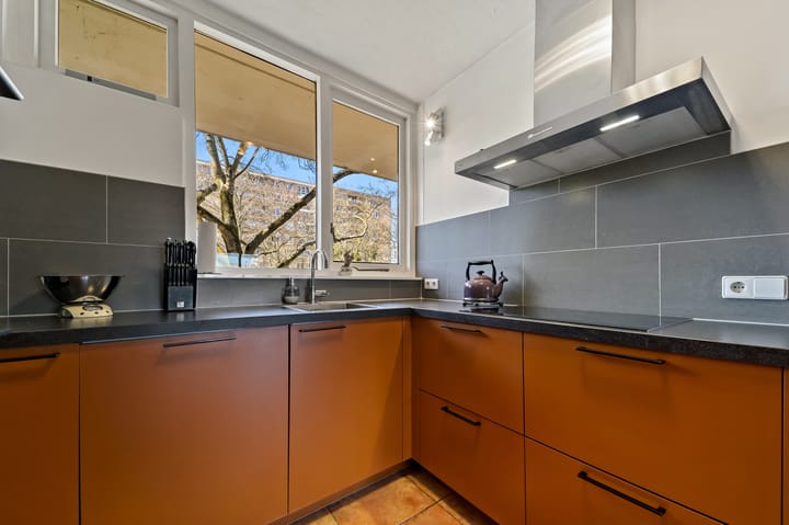 Foto 10 van Jan Palachkade 71