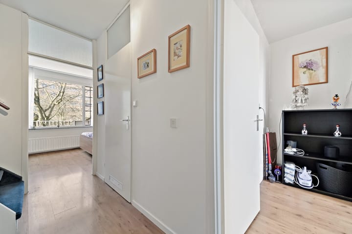 Foto 13 van Jan Palachkade 71