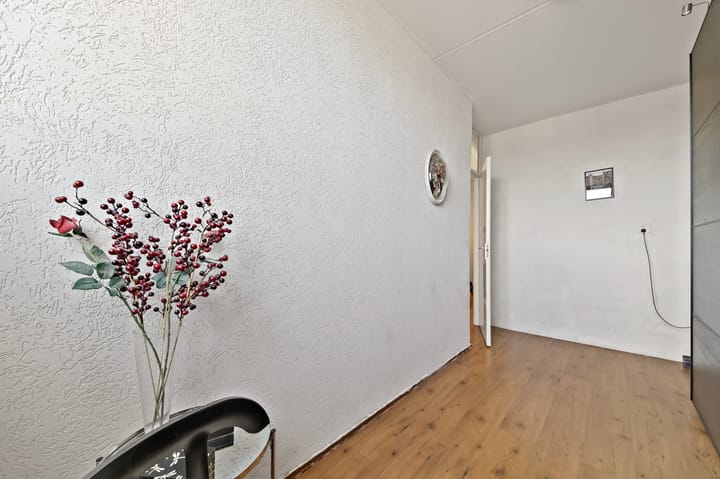 Foto 19 van Jan Palachkade 71