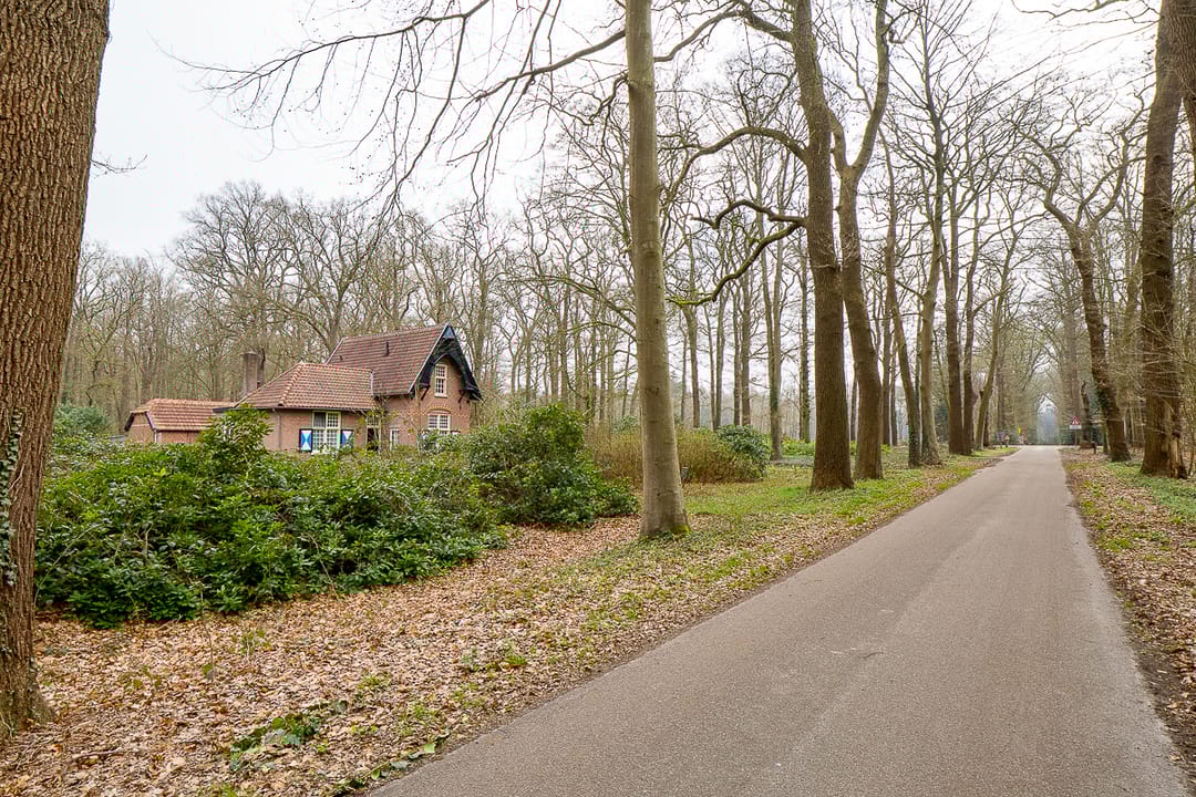 Foto 2 van Schoonhetenseweg 52