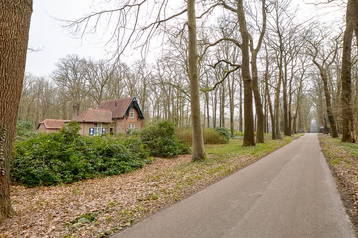 Foto 2 van Schoonhetenseweg 52