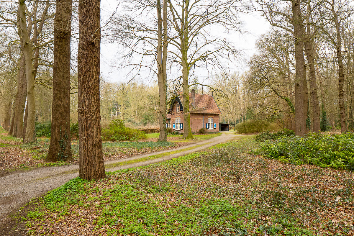 Foto 3 van Schoonhetenseweg 52