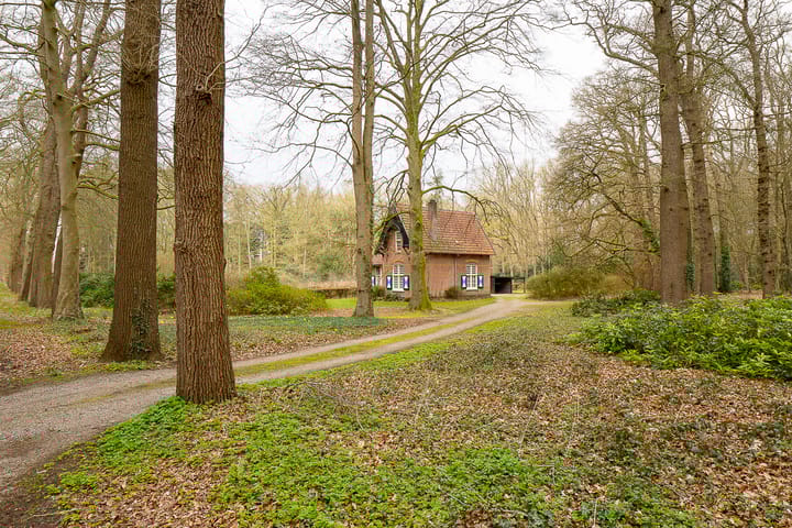 Foto 3 van Schoonhetenseweg 52