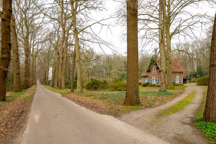 Foto 4 van Schoonhetenseweg 52