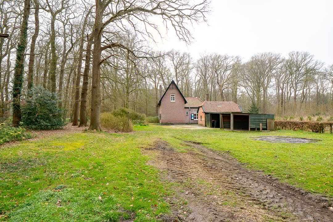 Foto 8 van Schoonhetenseweg 52