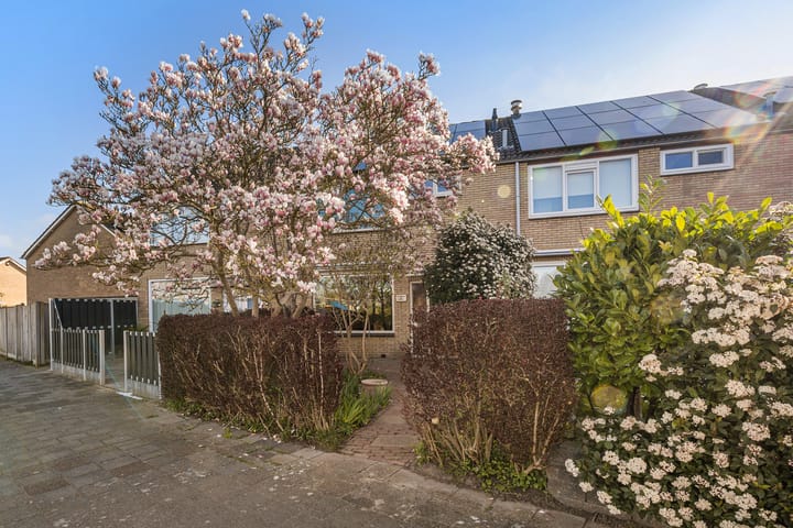 Foto 8 van Bremstraat 6