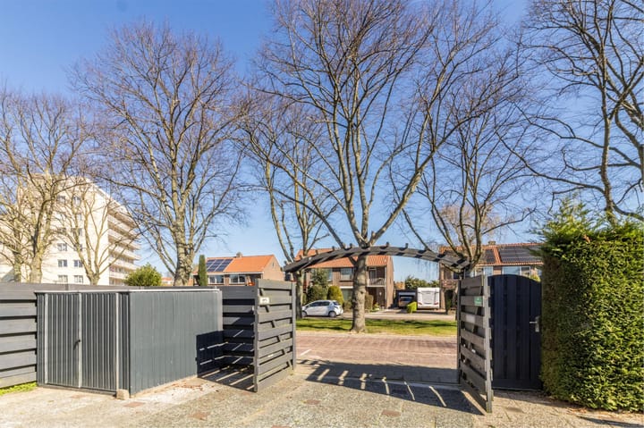 Foto 42 van Ternatestraat 39