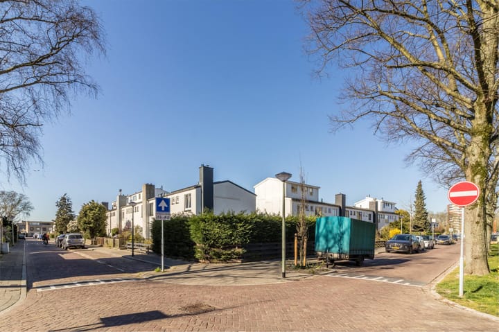 Foto 45 van Ternatestraat 39