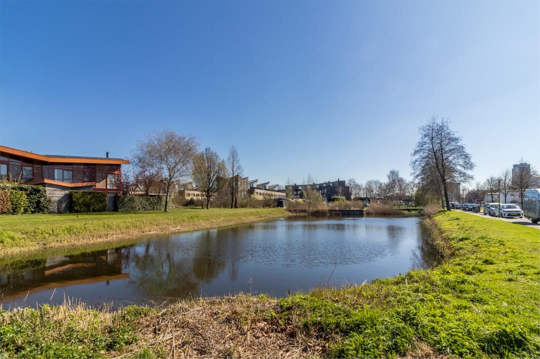 Foto 46 van Ternatestraat 39