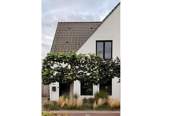 Noordstraat 54 A