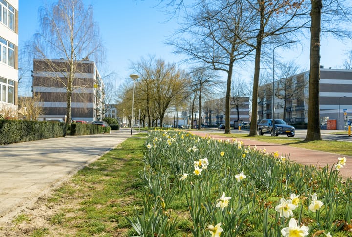 Foto 29 van Marialaan 10-C