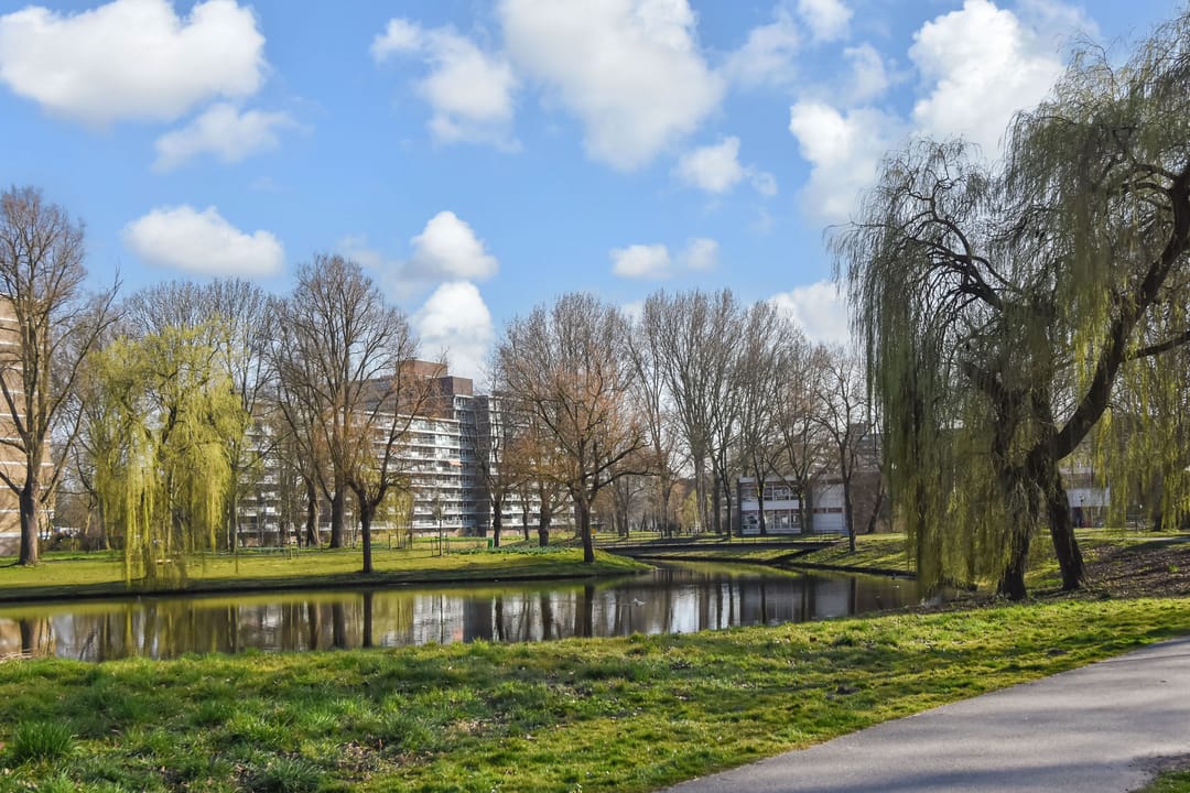 Foto 38 van Jonkerbos 33