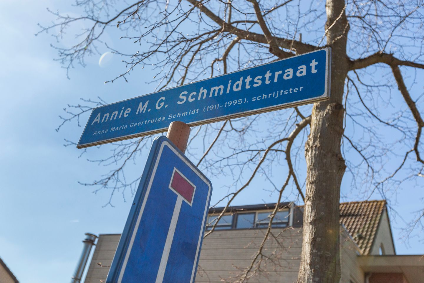 Foto 59 van Annie M.G. Schmidtstraat 1