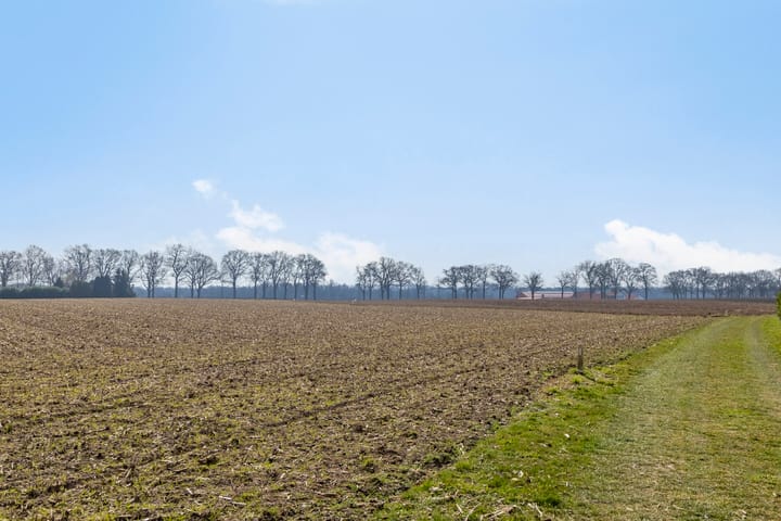 Photo 44 of Thoorderstraat 17