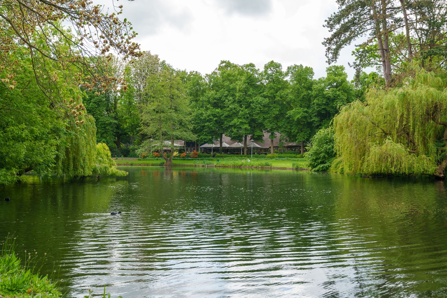 Foto 29 van Prinsenstraat 4