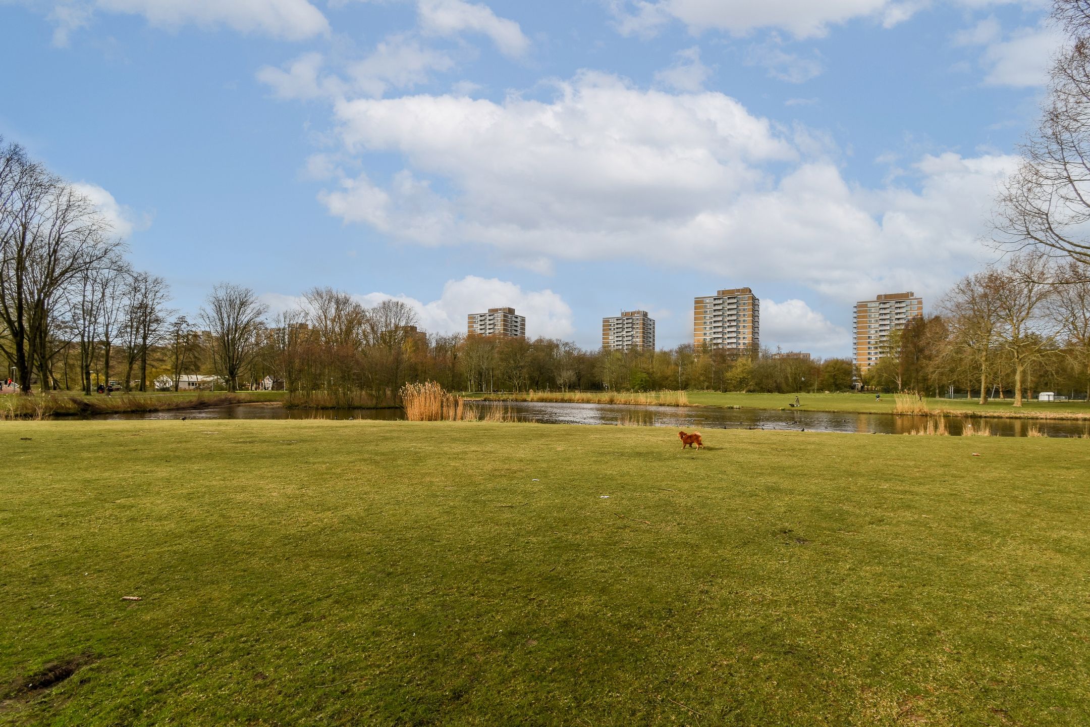 Foto 30 van Andreasplein 116