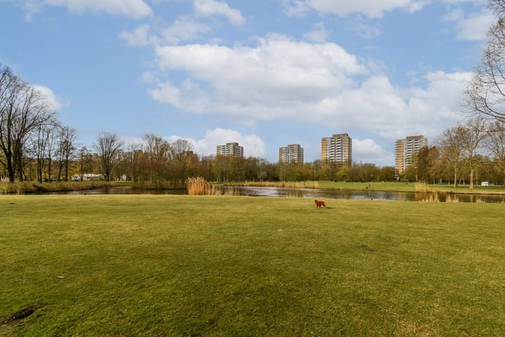 Foto 30 van Andreasplein 116