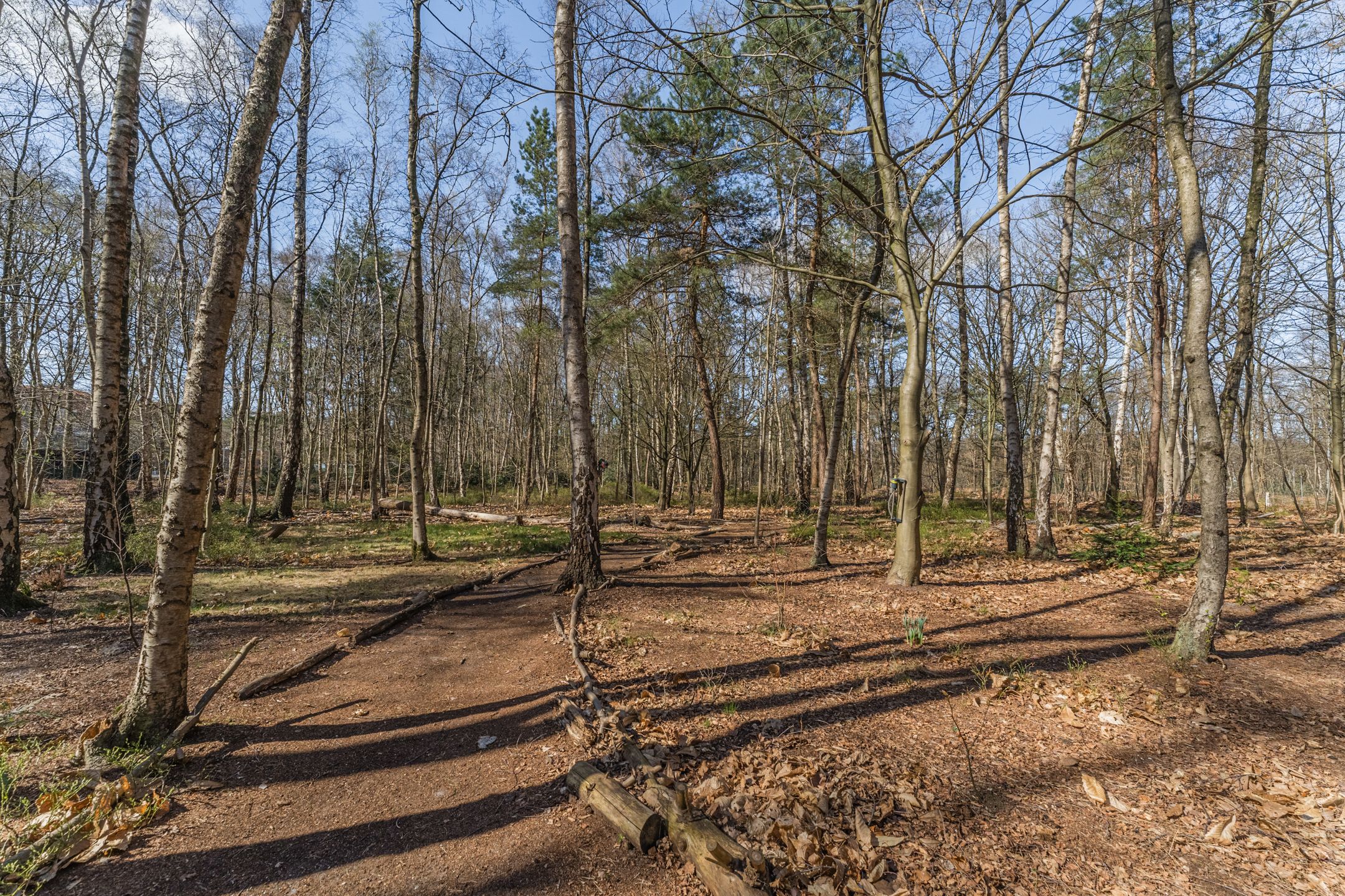 Foto 33 van Stichtse Rotonde 1-E