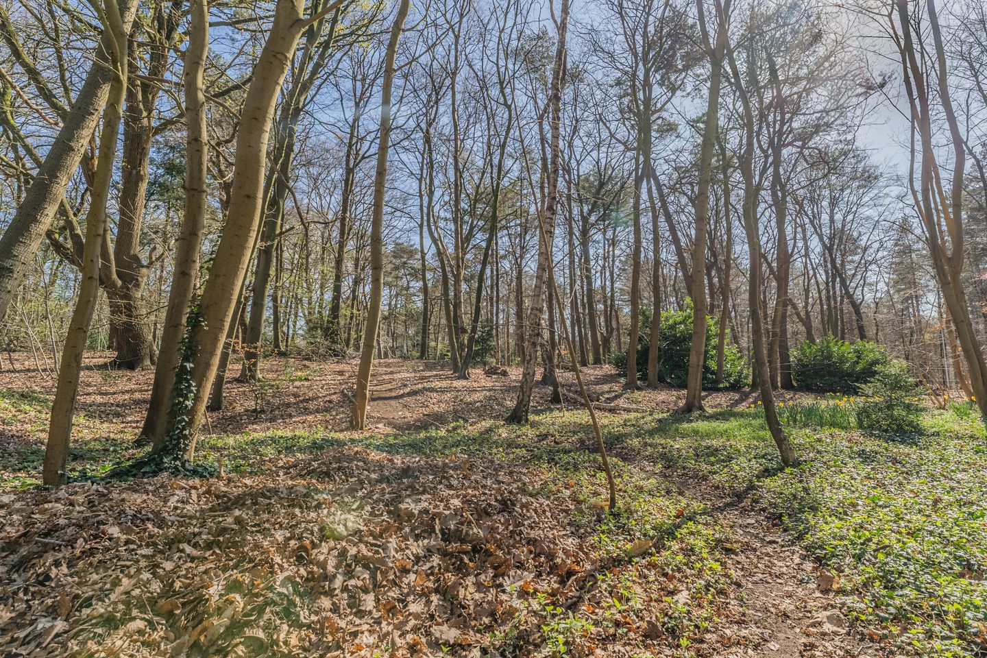 Foto 35 van Stichtse Rotonde 1-E