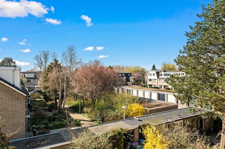 Foto 40 van Grabijnhof 33