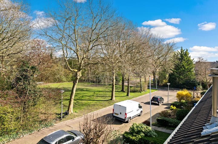 Foto 41 van Grabijnhof 33