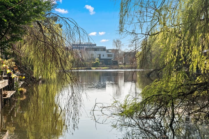 Foto 47 van Grabijnhof 33