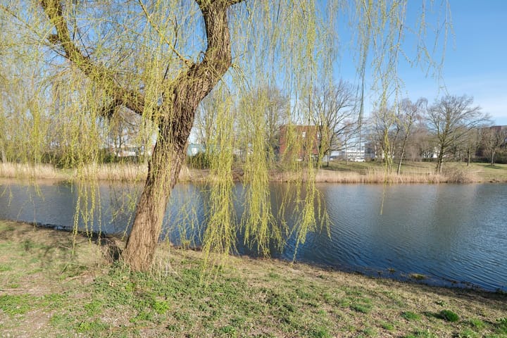 Foto 20 van Prof. Schermerhornpark 76