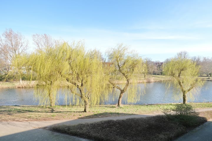 Foto 21 van Prof. Schermerhornpark 76