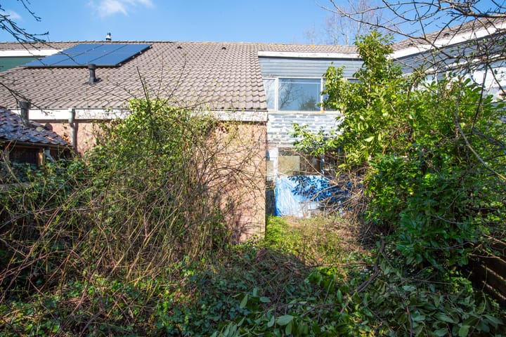 Photo 28 of Opvang 3