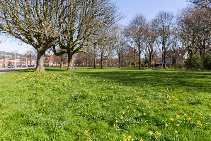 Photo 31 of Pegasusstraat 10