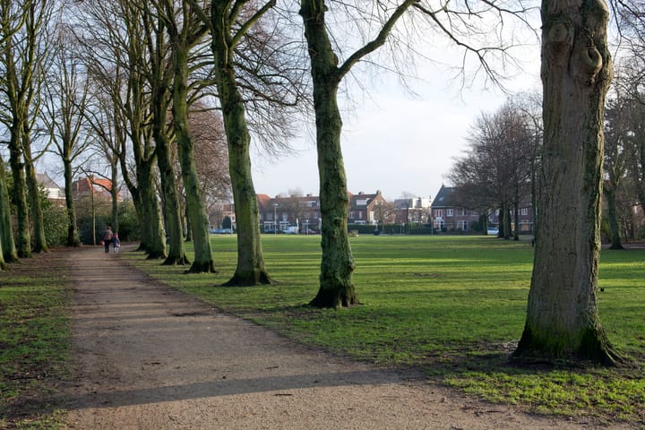 Photo 34 of Pegasusstraat 10