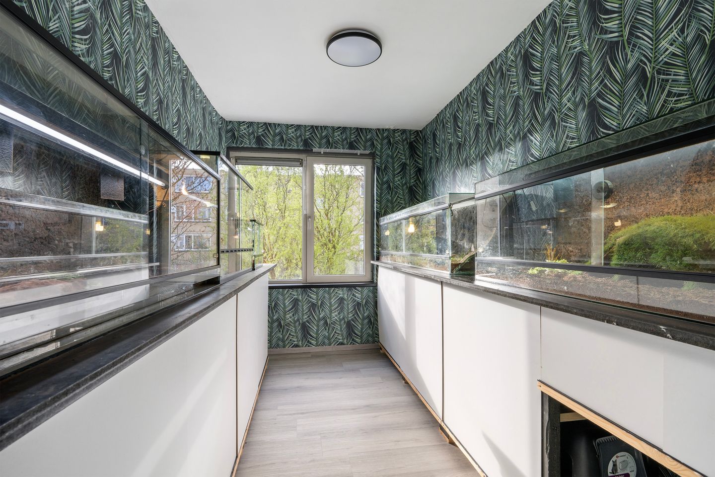 Foto 14 van Koekoekstraat 112