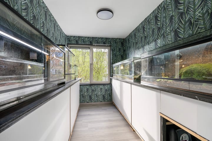 Foto 14 van Koekoekstraat 112