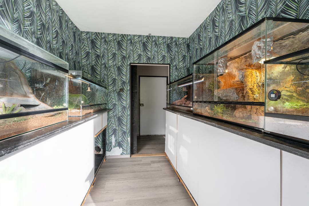 Foto 13 van Koekoekstraat 112