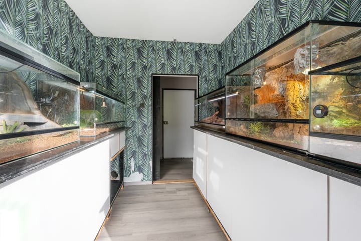 Foto 13 van Koekoekstraat 112