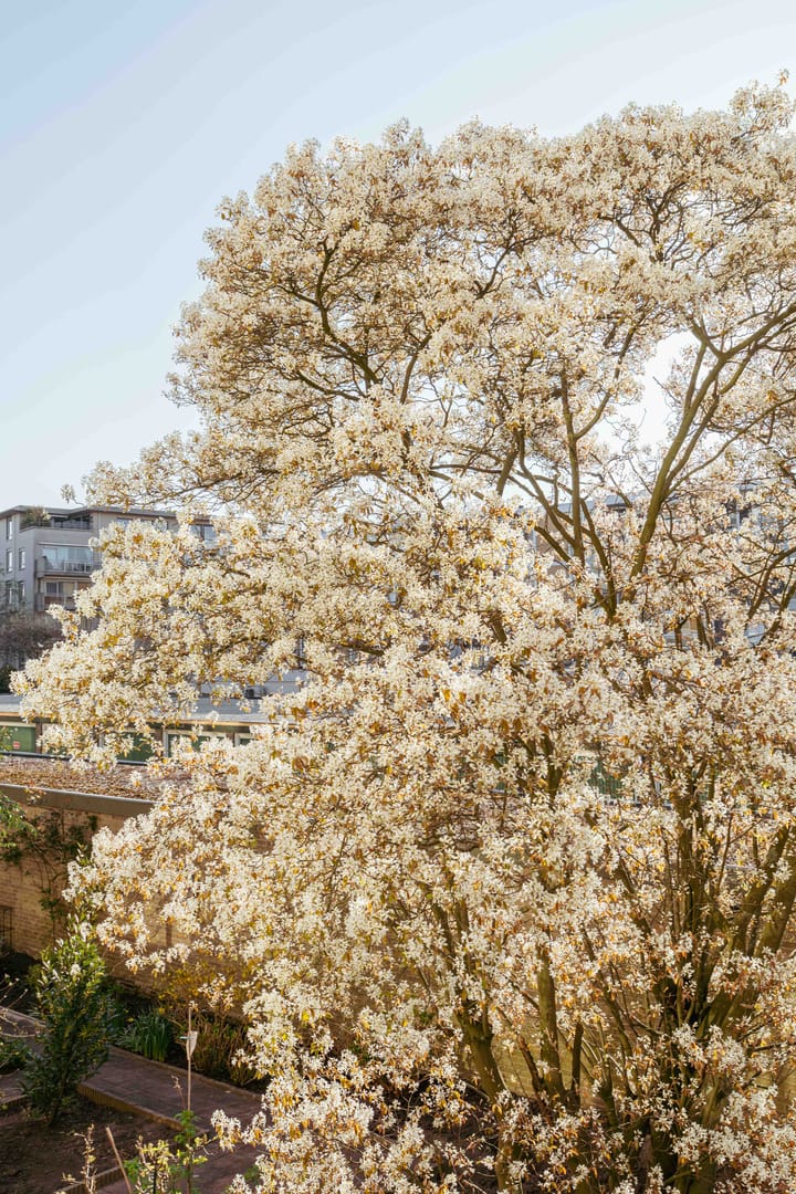 Foto 15 van Marconistraat 62