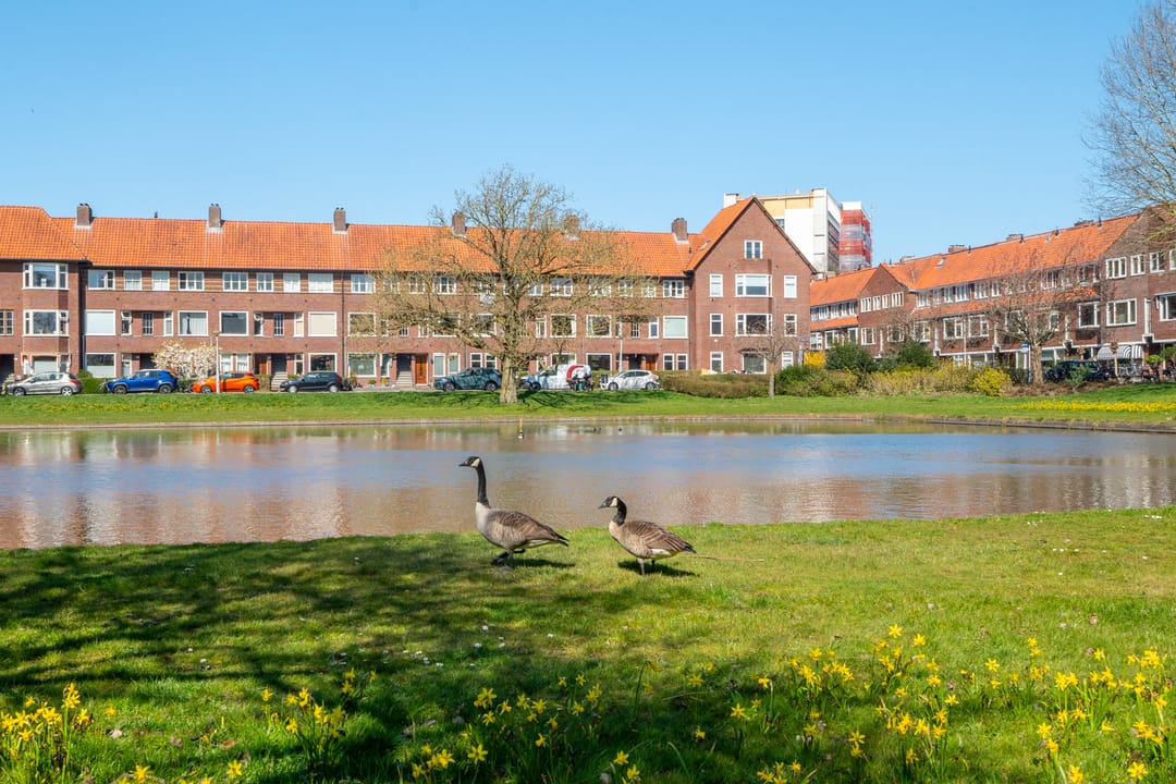 Foto 8 van Van Brakelplein 50