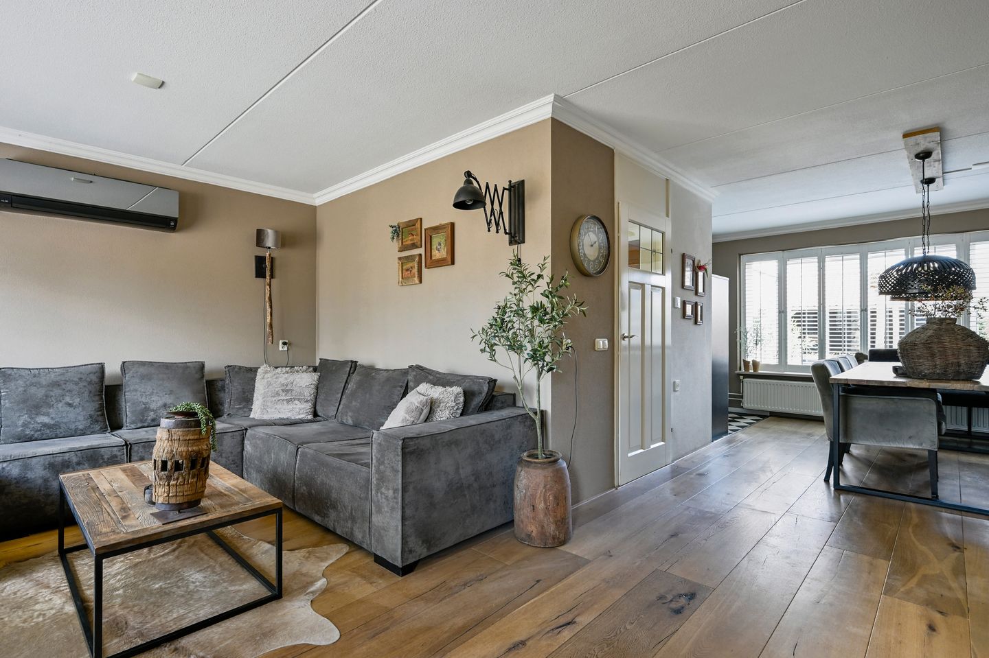 Foto 4 van Sierduif 37