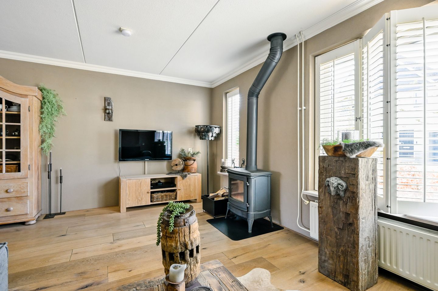 Foto 5 van Sierduif 37